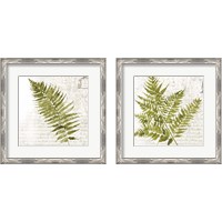 Framed Fern 2 Piece Framed Art Print Set