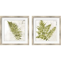 Framed 'Fern 2 Piece Framed Art Print Set' border=