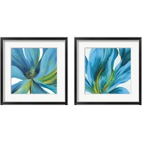 Framed Vedette  2 Piece Framed Art Print Set