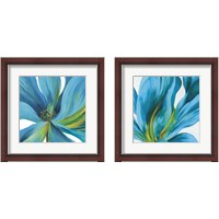 Framed 'Vedette  2 Piece Framed Art Print Set' border=