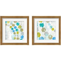Framed Hexagon  2 Piece Framed Art Print Set