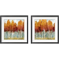 Framed Birch  2 Piece Framed Art Print Set