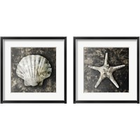 Framed 'Marble Shell  2 Piece Framed Art Print Set' border=