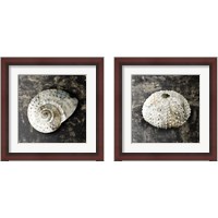 Framed 'Marble Shell  2 Piece Framed Art Print Set' border=
