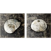 Framed 'Marble Shell  2 Piece Art Print Set' border=