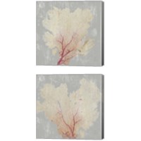 Framed Blush Coral 2 Piece Canvas Print Set