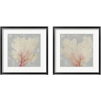 Framed 'Blush Coral 2 Piece Framed Art Print Set' border=