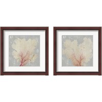 Framed Blush Coral 2 Piece Framed Art Print Set