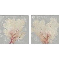 Framed Blush Coral 2 Piece Art Print Set