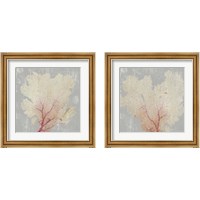 Framed 'Blush Coral 2 Piece Framed Art Print Set' border=