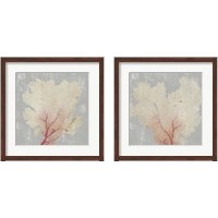 Framed Blush Coral 2 Piece Framed Art Print Set