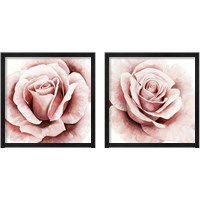 Framed 'Pink Rose 2 Piece Framed Art Print Set' border=