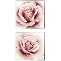 Framed 'Pink Rose 2 Piece Canvas Print Set' border=