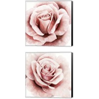 Framed Pink Rose 2 Piece Canvas Print Set
