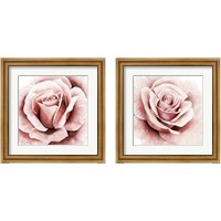 Framed Pink Rose 2 Piece Framed Art Print Set