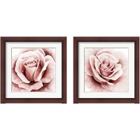 Framed Pink Rose 2 Piece Framed Art Print Set