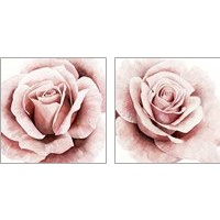 Framed 'Pink Rose 2 Piece Art Print Set' border=