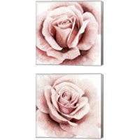 Framed 'Pink Rose 2 Piece Canvas Print Set' border=
