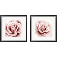 Framed Pink Rose 2 Piece Framed Art Print Set