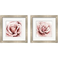 Framed Pink Rose 2 Piece Framed Art Print Set