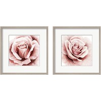 Framed Pink Rose 2 Piece Framed Art Print Set