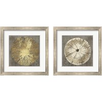 Framed 'Sand Dollar 2 Piece Framed Art Print Set' border=