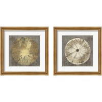 Framed Sand Dollar 2 Piece Framed Art Print Set