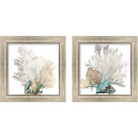 Framed Coral 2 Piece Framed Art Print Set