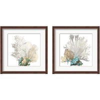 Framed 'Coral 2 Piece Framed Art Print Set' border=