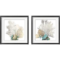 Framed Coral 2 Piece Framed Art Print Set