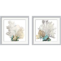 Framed 'Coral 2 Piece Framed Art Print Set' border=