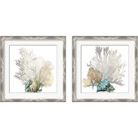 Framed 'Coral 2 Piece Framed Art Print Set' border=