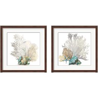 Framed 'Coral 2 Piece Framed Art Print Set' border=