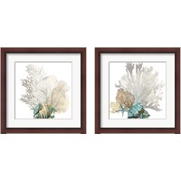 Framed 'Coral 2 Piece Framed Art Print Set' border=