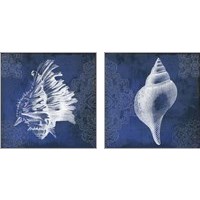 Framed 'Navy Shell 2 Piece Art Print Set' border=