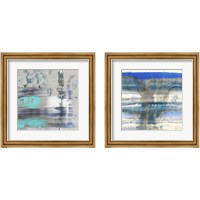 Framed Blue Swim 2 Piece Framed Art Print Set