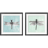 Framed 'Dragonfly  2 Piece Framed Art Print Set' border=