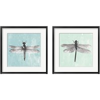 Framed 'Dragonfly  2 Piece Framed Art Print Set' border=