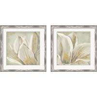 Framed Fresh Bloom 2 Piece Framed Art Print Set