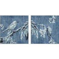 Framed 'Denim Songbird 2 Piece Art Print Set' border=