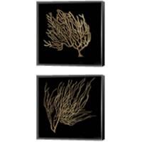 Framed 'Gold Coral 2 Piece Canvas Print Set' border=