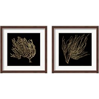 Framed Gold Coral 2 Piece Framed Art Print Set