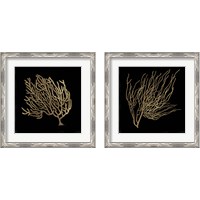 Framed 'Gold Coral 2 Piece Framed Art Print Set' border=
