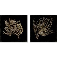 Framed Gold Coral 2 Piece Art Print Set