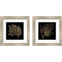 Framed 'Gold Coral 2 Piece Framed Art Print Set' border=