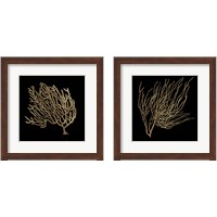 Framed 'Gold Coral 2 Piece Framed Art Print Set' border=