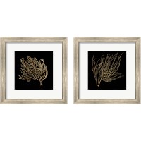 Framed Gold Coral 2 Piece Framed Art Print Set
