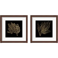 Framed Gold Coral 2 Piece Framed Art Print Set