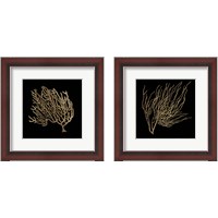 Framed Gold Coral 2 Piece Framed Art Print Set