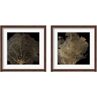 Framed Honeycomb Coral 2 Piece Framed Art Print Set